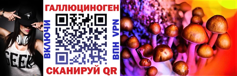 Галлюциногенные грибы MAGIC MUSHROOMS  купить наркоту  Петровск-Забайкальский 